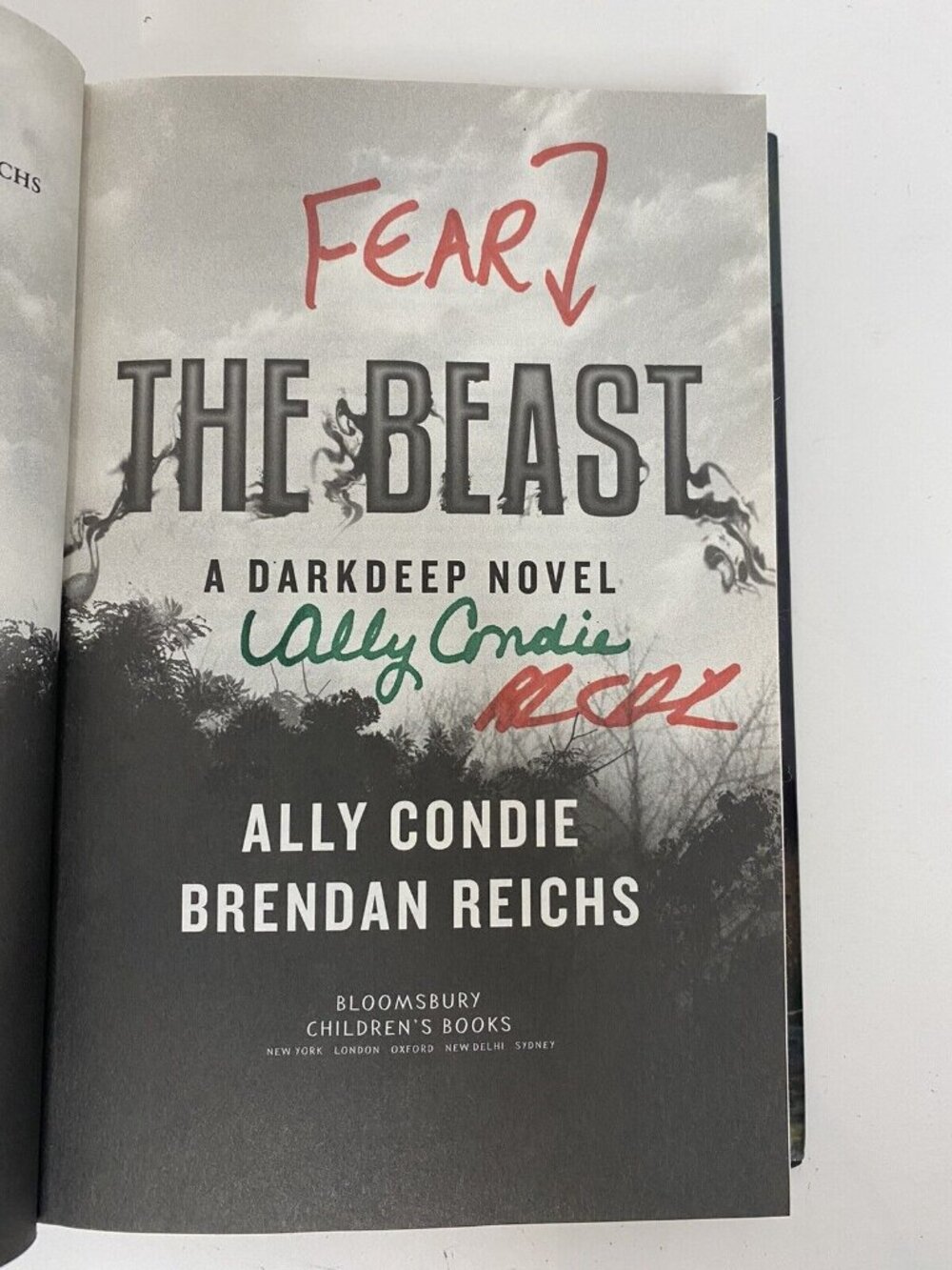 The Beast (The Darkdeep) Ally Connie  SIGNED by Author - Picture 3 of 9